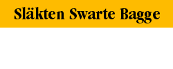 s_sw_bag.GIF (1646 bytes)